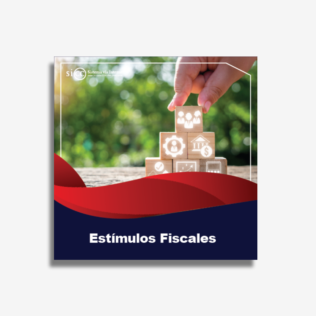 Curso Estímulos Fiscales